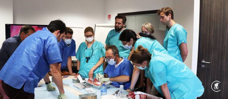 Formation en  implantologie  Academic Dentaire